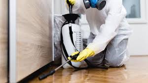 Best Fumigation Services  in Belvedere Park, GA